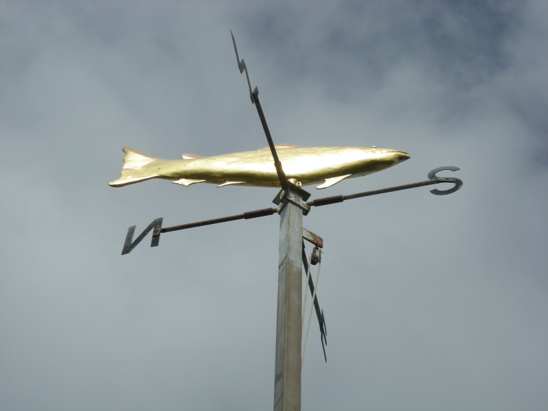 The salmon weather vane on top of Christchurch Priory